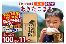 ※令和7年産 新米予約※《定期便11ヶ月》秋田県産 あきたこまち 100kg【玄米】(5kg小分け袋) 2025年産 お届け周期調整可能 隔月に調整OK お米 藤岡農産
