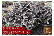 原木まいたけ「大野台まいたけ」１kg