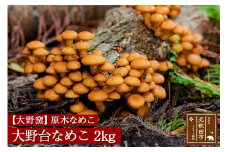原木なめこ「大野台なめこ」　２kg