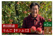 秋田県産 サンふじ りんご 約5kg （ご家庭用）リンゴ【12月中旬～2月中旬に順次発送】