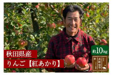 秋田県産 紅あかり りんご 約10kg （ご家庭用）リンゴ【12月上旬～12月末まで順次発送】