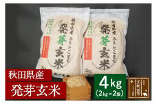 令和6年産 発芽玄米（2kg×2袋）発芽米 玄米 ビタミン カルシウム ギャバ ミネラル 食物繊維