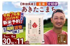 ※令和7年産 新米予約※《定期便11ヶ月》秋田県産 あきたこまち 30kg【玄米】(5kg小分け袋) 2025年産 お届け周期調整可能 隔月に調整OK お米 すずき農産