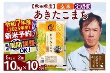 ※令和7年産 新米予約※《定期便10ヶ月》秋田県産 あきたこまち 10kg【玄米】(5kg小分け袋) 2025年産 お届け周期調整可能 隔月に調整OK お米 みそらファーム