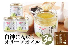 UMAMY kitchen 白神にんにくオリーブオイル 3個セット（簡易包装）選べる 万能調味料 ニンニク ガーリックオリーブオイル