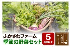 ふかさわファーム 季節の野菜セット