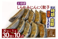 【定期便10ヶ月】しらかみにんにく餃子 30個 (30個×1パック) お届け時期選べる【冷凍】秋田県産 国内産 豚肉 ぎょうざ ギョウザ ギョーザ 冷凍餃子 生餃子 冷凍食品 中華 惣菜