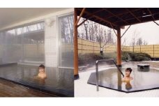 温泉保養センターはまなす 温泉券11回分