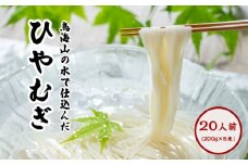 喉越しの良い象潟うどんとひやむぎセット(各5束合計10束 20人前 乾麺）