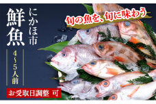 下処理済 鮮魚 詰合せ 切り身 4~5人前 届けばすぐ食べられる鮮魚セット 詰め合わせ(お魚ボックス パック)