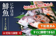 下処理済 鮮魚 2~3人前 届けばすぐ食べられる鮮魚セット 詰め合わせ(お魚ボックス パック)