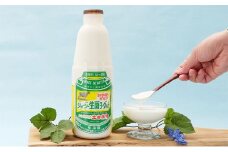900ml×1本 無糖の飲むヨーグルト「生菌ヨーグルト」