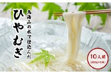 ひやむぎ200g×5束（10人前 冷麦 冷や麦）