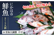 発送メールのみ 日本海の鮮魚詰め合わせ（2～3人前 下処理済み 切り身 魚介 セット）