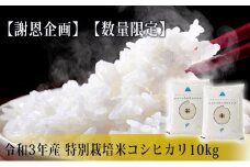《数量限定》10kg(5kg×2袋) 減農薬 特別栽培米 コシヒカリ10kg(令和3年産 精米)