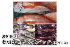 漁師さん厳選！秋田沖の旬のお魚パック(Mサイズ・3～4人前 鮮魚 ボックス)