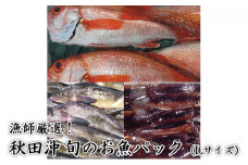 にかほ市の漁師厳選！秋田沖の旬のお魚パック！（Lサイズ・3～4人前 鮮魚 ボックス）