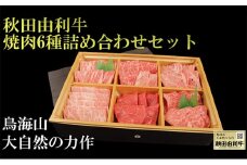 秋田由利牛 焼肉6種詰め合わせセット