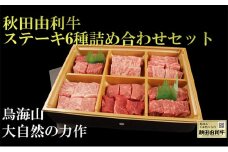秋田由利牛 ステーキ6種詰め合わせセット