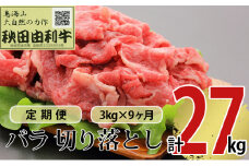 《定期便》9ヶ月連続 秋田由利牛 バラ切り落とし 3kg（1kg×3パック）