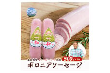 生食OK！ジャージーミート使用 ボロニアソーセージ500g×2本