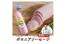 生食OK！ジャージーミート使用 ボロニアソーセージ500g×1本