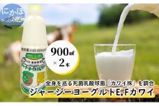 ジャージー ヨーグルト（E・Fカワイ）900ml×2本（飲む ヨーグルト）