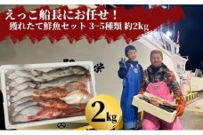 えっこ船長にお任せ！獲れたて鮮魚セット 3～5種類 約2kg（鮮魚 詰合せ ボックス）