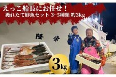 えっこ船長にお任せ！獲れたて鮮魚セット 3～5種類 約3kg（鮮魚 詰合せ ボックス）