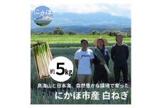にかほ市産 白ネギ 約5kg（35～45本）