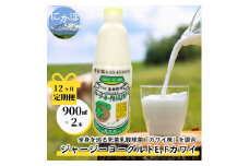 毎月お届け！ジャージー ヨーグルト(E・Fカワイ)900ml×2本 12ヶ月定期便(飲む ヨーグルト)