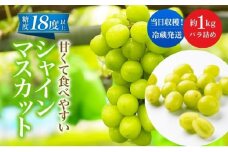 先行予約 甘く食べやすい シャインマスカット 粒 バラ詰め 約1kg＜出荷時期：2025年9月下旬～10月上旬ごろ＞数量限定 期間限定 果物 フルーツ ぶどう ブドウ マスカット