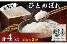 米 定期便 全2回 秋田県産 ひとめぼれ 2kg ×2回 計4kg 令和7年産［2025年11月頃から出荷予定］土づくり実証米 JAしんせい【 精米 白米 米 コメ お米 おこめ ブランド米 ご飯 ごはん 先行受付 新米 低たんぱく 産地直送 送料無料 高評価 秋田 にかほ 】