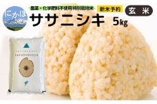 新米予約 栽培期間中 農薬・化学肥料不使用 【玄米】 特別栽培米ササニシキ5kg×1 令和7年産 秋田県 にかほ市 お米 米 こめ