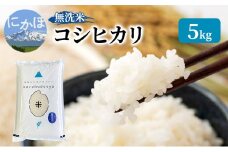 米 無洗米 令和6年産 コシヒカリ 5kg×1 お米