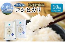 米 無洗米 令和6年産 特別栽培米コシヒカリ5kg×2 お米