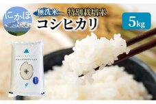 米 無洗米 令和6年産 特別栽培米コシヒカリ5kg×1 お米