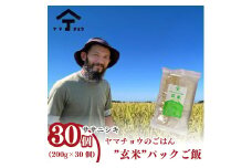 ヤマチョウのごはん パックご飯 玄米 ササニシキ 200g×30個セット 秋田県産