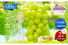 先行予約 [贈答用/熨斗なし化粧箱] 甘く食べやすい シャインマスカット 2房（1房 700～800g）＜出荷時期：2025年9月下旬～10月上旬ごろ＞数量限定 期間限定 果物 フルーツ ぶどう ブドウ マスカット ギフト