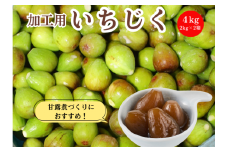 期間限定 加工用 生いちじく 4kg（2kg×2)  秋田県にかほ市産 北限のいちじく ホワイトゼノア