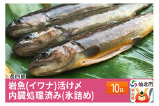 岩魚（イワナ）活け〆10匹 内臓処理済み（氷詰め）10匹