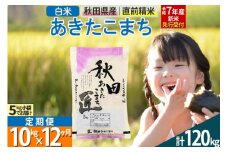 【白米】＜令和7年産 新米予約＞ 《定期便12ヶ月》秋田県産 あきたこまち 10kg (5kg×2袋)×12回 10キロ お米  新米
