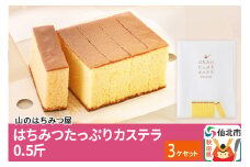 はちみつたっぷりカステラ 0.5斤 3個 セット 山のはちみつ屋