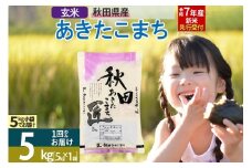 【玄米】＜令和7年産 新米予約＞ 秋田県産 あきたこまち 5kg (5kg×1袋) 5キロ お米 新米
