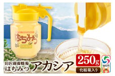 秋田県産はちみつ アカシア250g 化粧箱入り 田沢湖養蜂場