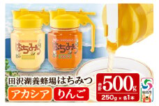 秋田県産はちみつ（アカシア・リンゴ）250g×各1本 合計500g 化粧箱入り 詰め合わせセット 田沢湖養蜂場