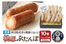 桃豚ぶたんぽセット（1本入×10袋・たれ×5袋）豚肉 秋田県 小坂町