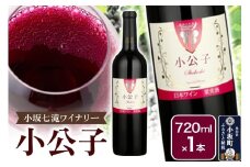 小坂七滝ワイナリー 小公子 720ml×1本