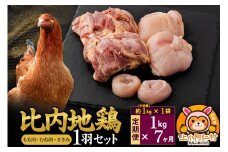 【定期便7ヶ月】比内地鶏 1羽セット(もも・むね・ささみ) 約1kg(不定貫約1kg×1袋) 1キロ 国産 冷凍 正肉 鶏肉 鳥肉