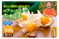 《冷蔵》コアニ・スイーツホオズキ 300g（150g×2パック） 殻付き 生食用 ほおずき ゴールデンベリー スーパーフード たじゅうろう農園